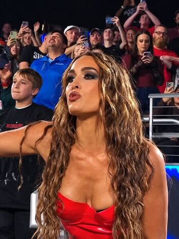 The Bella Twins